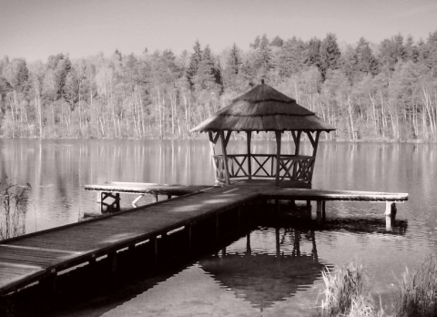 Kliknij na zdjęcie, żeby zobaczyć w pełnych wymiarach
