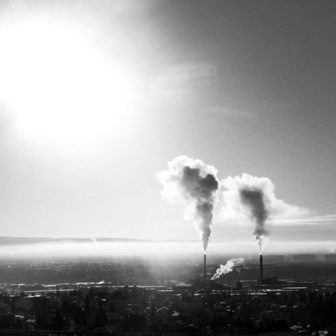 Kliknij na zdjęcie, żeby zobaczyć w pełnych wymiarach