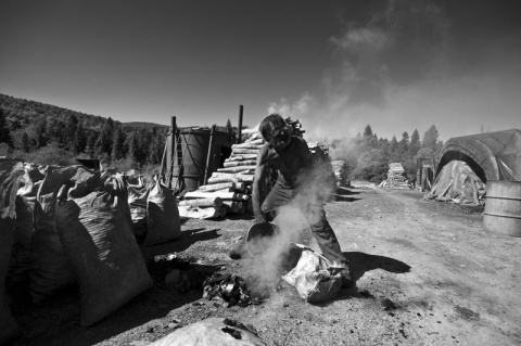 Kliknij na zdjęcie, żeby zobaczyć w pełnych wymiarach