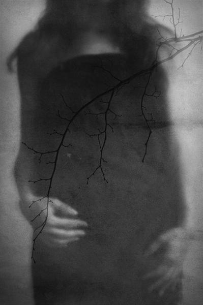 Kliknij na zdjęcie, żeby zobaczyć w pełnych wymiarach