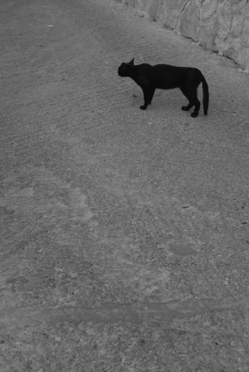 Kliknij na zdjęcie, żeby zobaczyć w pełnych wymiarach