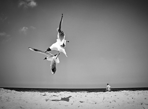 Kliknij na zdjęcie, żeby zobaczyć w pełnych wymiarach