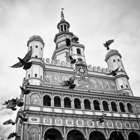 Kliknij na zdjęcie, żeby zobaczyć w pełnych wymiarach