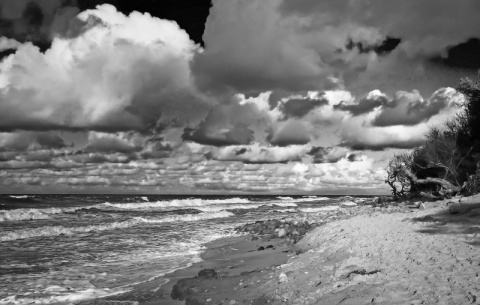 Kliknij na zdjęcie, żeby zobaczyć w pełnych wymiarach