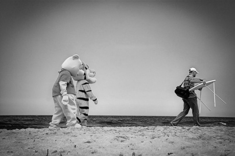 Kliknij na zdjęcie, żeby zobaczyć w pełnych wymiarach