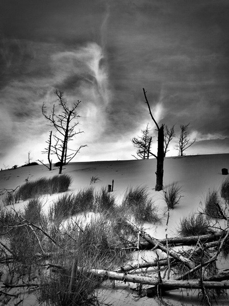 Kliknij na zdjęcie, żeby zobaczyć w pełnych wymiarach