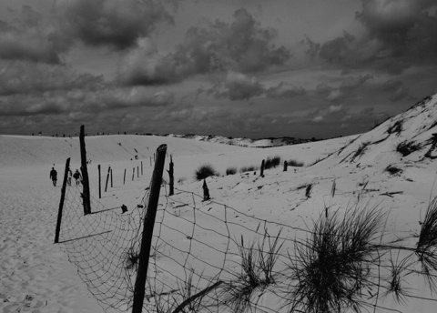 Kliknij na zdjęcie, żeby zobaczyć w pełnych wymiarach