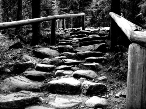 Kliknij na zdjęcie, żeby zobaczyć w pełnych wymiarach