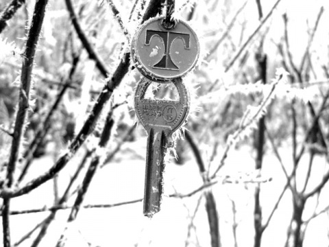 Kliknij na zdjęcie, żeby zobaczyć w pełnych wymiarach