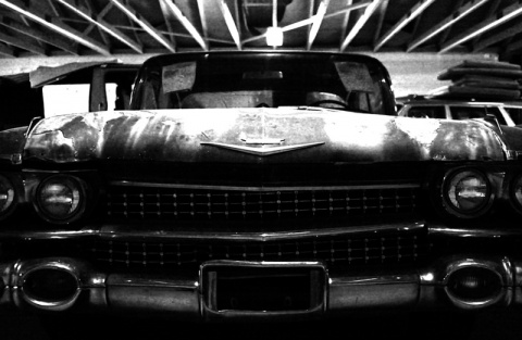 Kliknij na zdjęcie, żeby zobaczyć w pełnych wymiarach