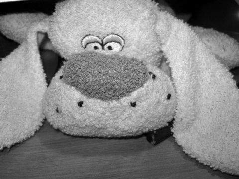 Kliknij na zdjęcie, żeby zobaczyć w pełnych wymiarach