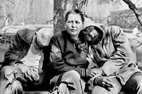 Kliknij na zdjęcie, żeby zobaczyć w pełnych wymiarach