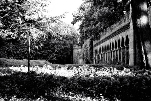 Kliknij na zdjęcie, żeby zobaczyć w pełnych wymiarach