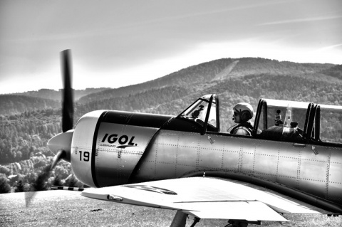 Kliknij na zdjęcie, żeby zobaczyć w pełnych wymiarach