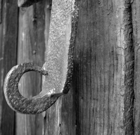 Kliknij na zdjęcie, żeby zobaczyć w pełnych wymiarach