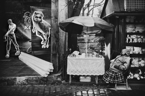 Kliknij na zdjęcie, żeby zobaczyć w pełnych wymiarach