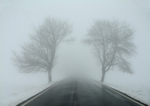 Kliknij na zdjęcie, żeby zobaczyć w pełnych wymiarach