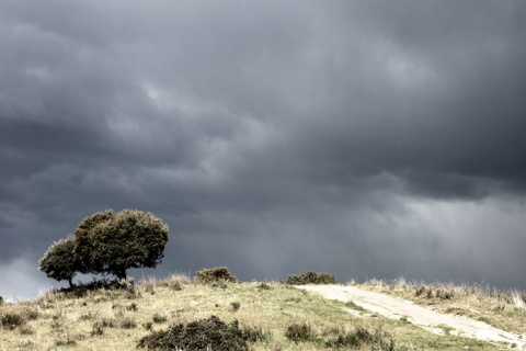 Kliknij na zdjęcie, żeby zobaczyć w pełnych wymiarach