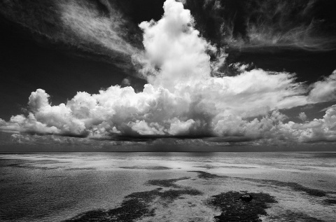 Kliknij na zdjęcie, żeby zobaczyć w pełnych wymiarach