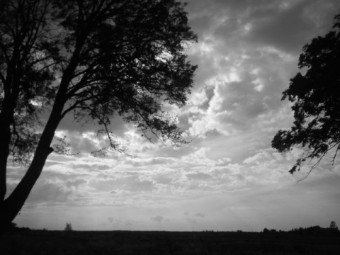 Kliknij na zdjęcie, żeby zobaczyć w pełnych wymiarach