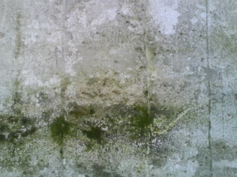 Kliknij na zdjęcie, żeby zobaczyć w pełnych wymiarach