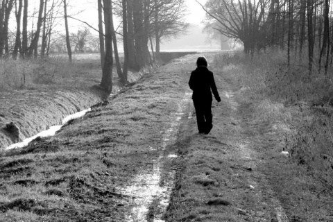 Kliknij na zdjęcie, żeby zobaczyć w pełnych wymiarach