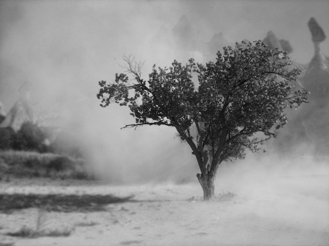 Kliknij na zdjęcie, żeby zobaczyć w pełnych wymiarach