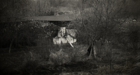 Kliknij na zdjęcie, żeby zobaczyć w pełnych wymiarach