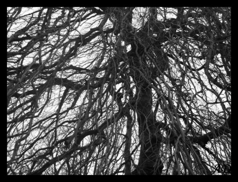 Kliknij na zdjęcie, żeby zobaczyć w pełnych wymiarach