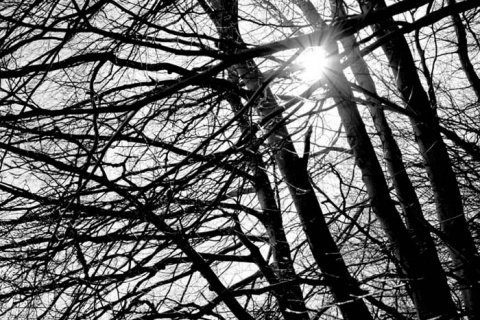 Kliknij na zdjęcie, żeby zobaczyć w pełnych wymiarach