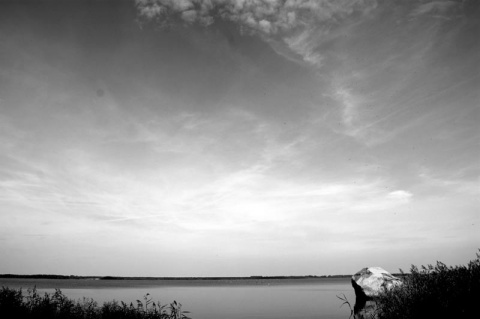 Kliknij na zdjęcie, żeby zobaczyć w pełnych wymiarach