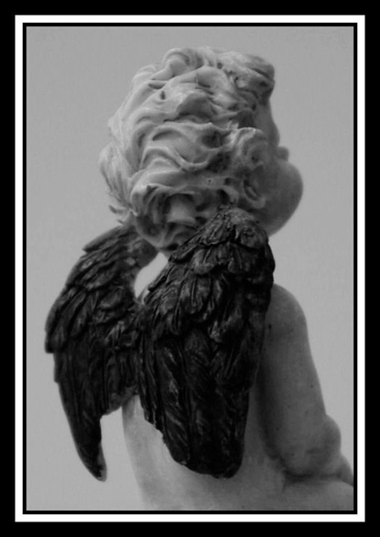 Kliknij na zdjęcie, żeby zobaczyć w pełnych wymiarach