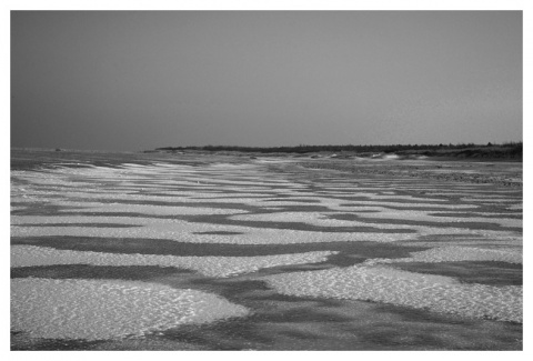 Kliknij na zdjęcie, żeby zobaczyć w pełnych wymiarach