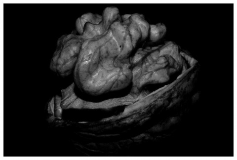 Kliknij na zdjęcie, żeby zobaczyć w pełnych wymiarach