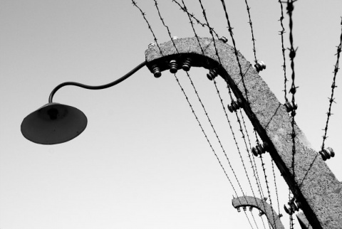 Kliknij na zdjęcie, żeby zobaczyć w pełnych wymiarach