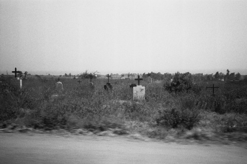 Kliknij na zdjęcie, żeby zobaczyć w pełnych wymiarach