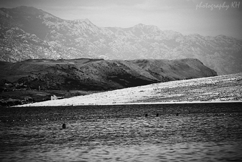 Kliknij na zdjęcie, żeby zobaczyć w pełnych wymiarach