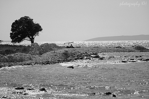 Kliknij na zdjęcie, żeby zobaczyć w pełnych wymiarach