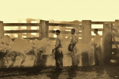 Kliknij na zdjęcie, żeby zobaczyć w pełnych wymiarach