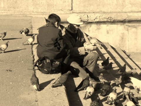 Kliknij na zdjęcie, żeby zobaczyć w pełnych wymiarach