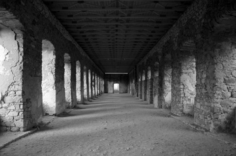 Kliknij na zdjęcie, żeby zobaczyć w pełnych wymiarach