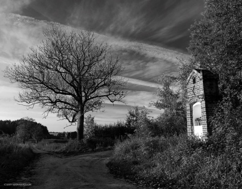 Kliknij na zdjęcie, żeby zobaczyć w pełnych wymiarach