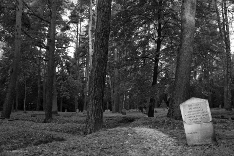 Kliknij na zdjęcie, żeby zobaczyć w pełnych wymiarach