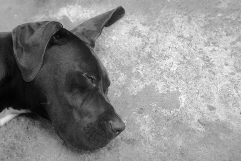 Kliknij na zdjęcie, żeby zobaczyć w pełnych wymiarach