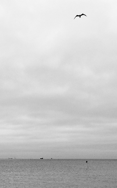 Kliknij na zdjęcie, żeby zobaczyć w pełnych wymiarach