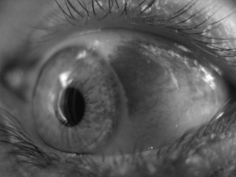 Kliknij na zdjęcie, żeby zobaczyć w pełnych wymiarach