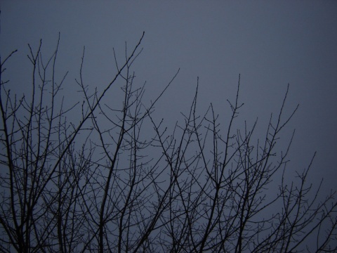 Kliknij na zdjęcie, żeby zobaczyć w pełnych wymiarach