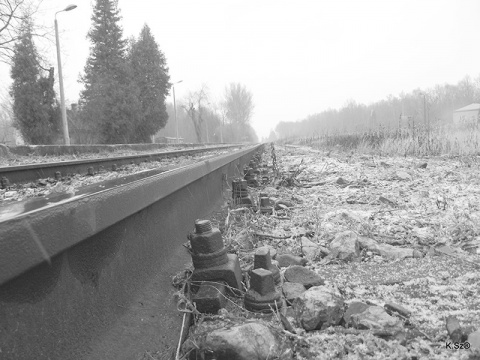Kliknij na zdjęcie, żeby zobaczyć w pełnych wymiarach