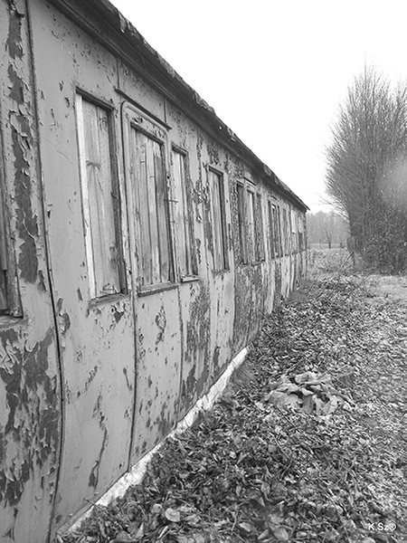 Kliknij na zdjęcie, żeby zobaczyć w pełnych wymiarach