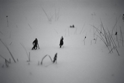 Kliknij na zdjęcie, żeby zobaczyć w pełnych wymiarach